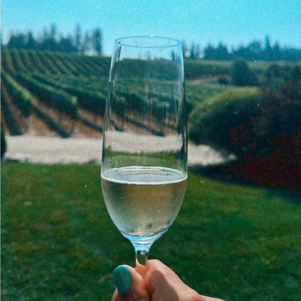 Meet your Posher, Karli